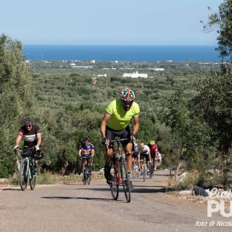 Le attività in programma dei giorni 1 e 2 novembre a Polignano